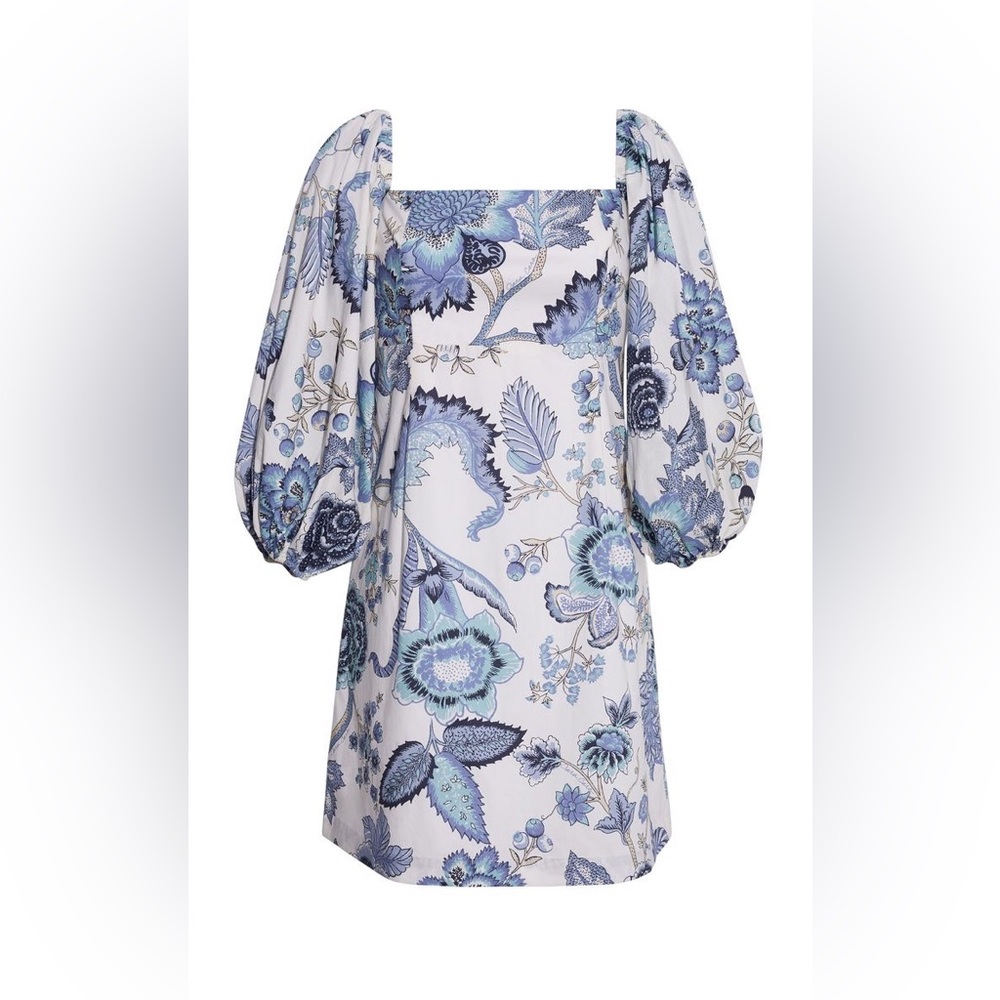 Cara Cara Blue and White Floral Long-Sleeve Dress